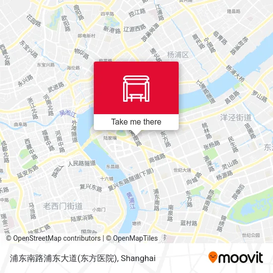 浦东南路浦东大道(东方医院) map