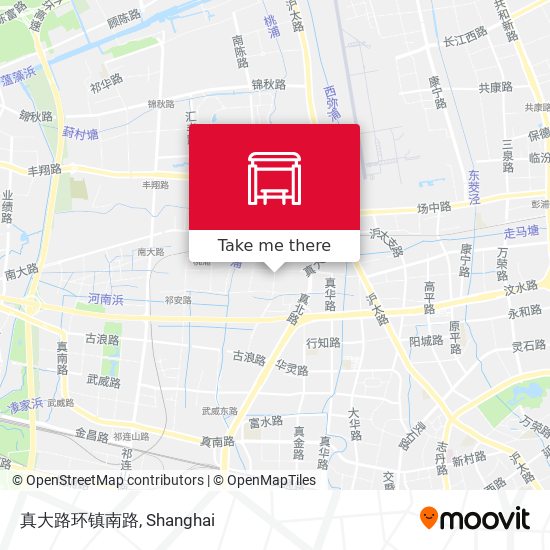 真大路环镇南路 map