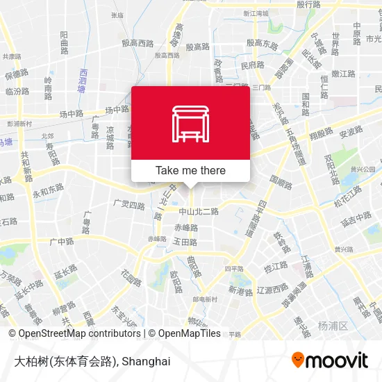 大柏树(东体育会路) map