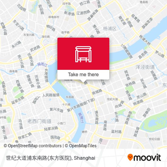 世纪大道浦东南路(东方医院) map