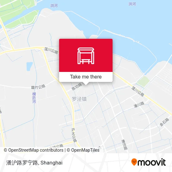 潘沪路罗宁路 map