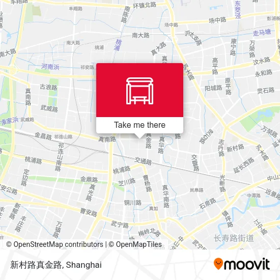 新村路真金路 map