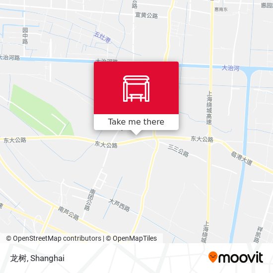 龙树 map