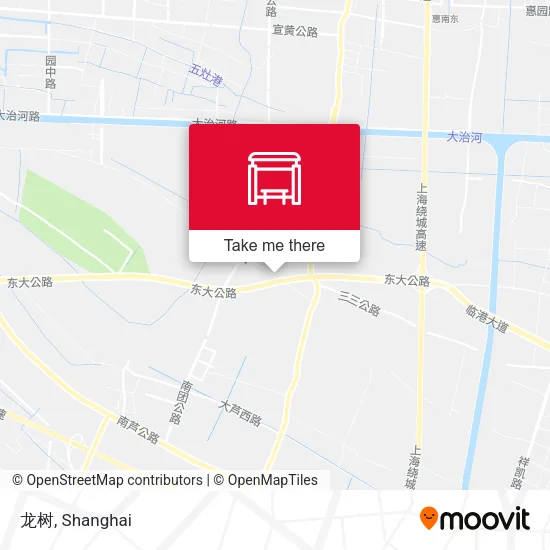 龙树 map