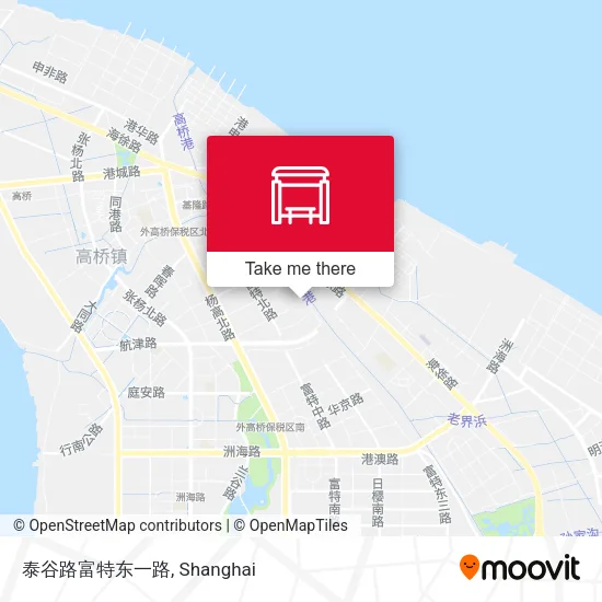 泰谷路富特东一路 map