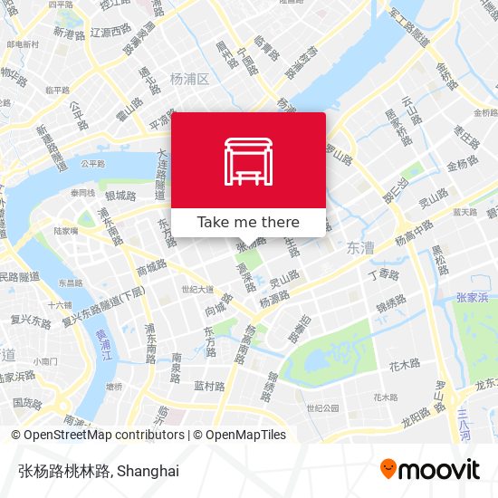 张杨路桃林路 map