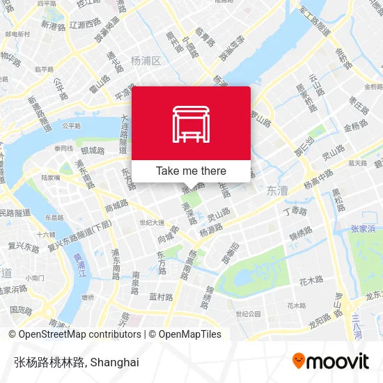 张杨路桃林路 map