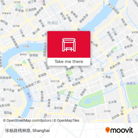 张杨路桃林路 map