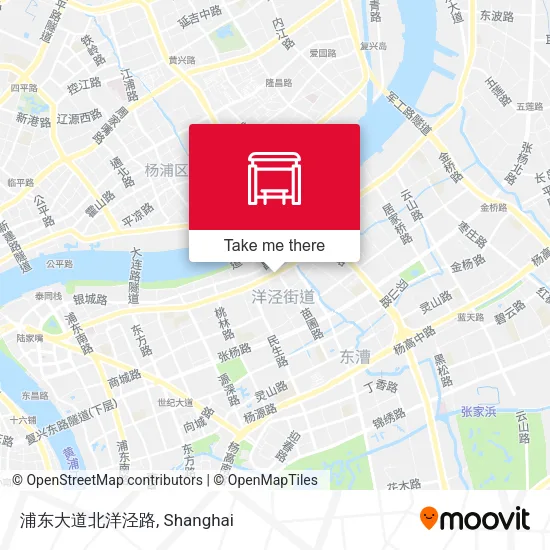浦东大道北洋泾路 map