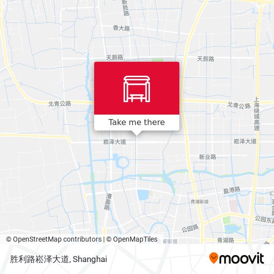 胜利路崧泽大道 map