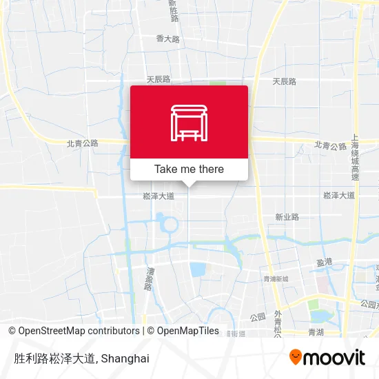 胜利路崧泽大道 map