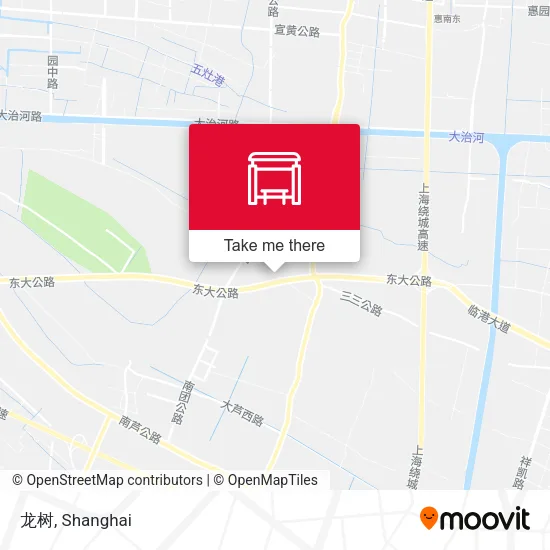 龙树 map