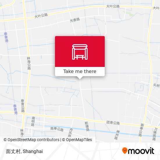 面丈村 map