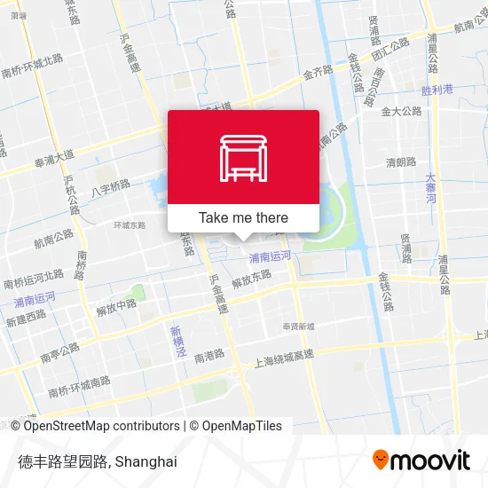 德丰路望园路 map