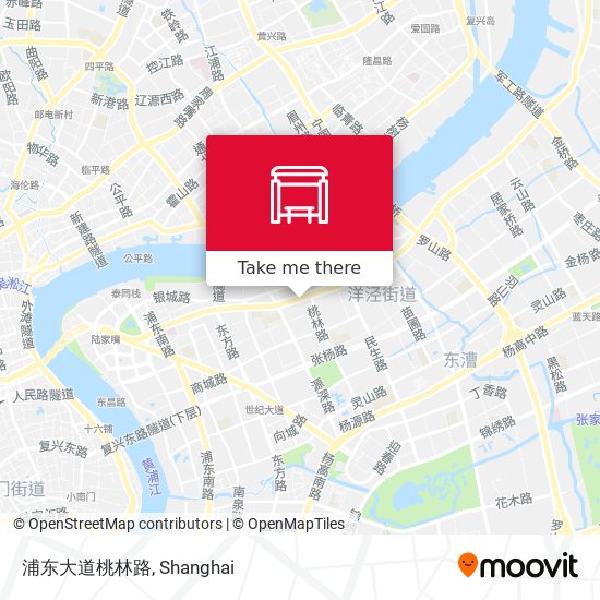 浦东大道桃林路 map