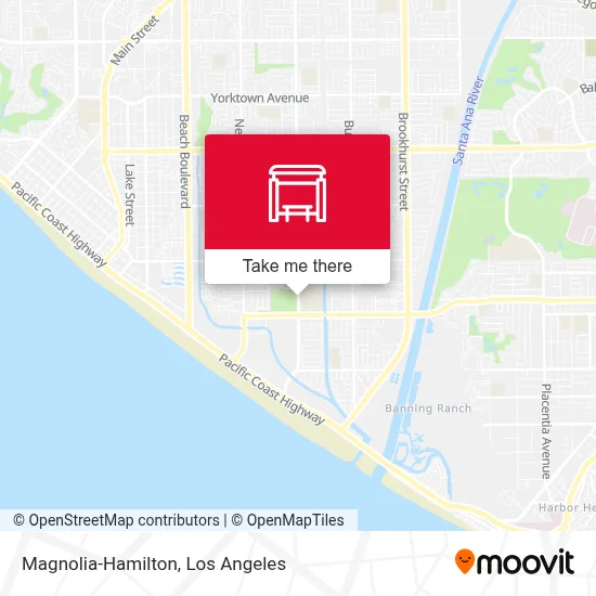 Magnolia-Hamilton map