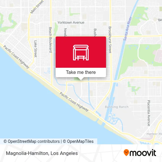 Magnolia-Hamilton map