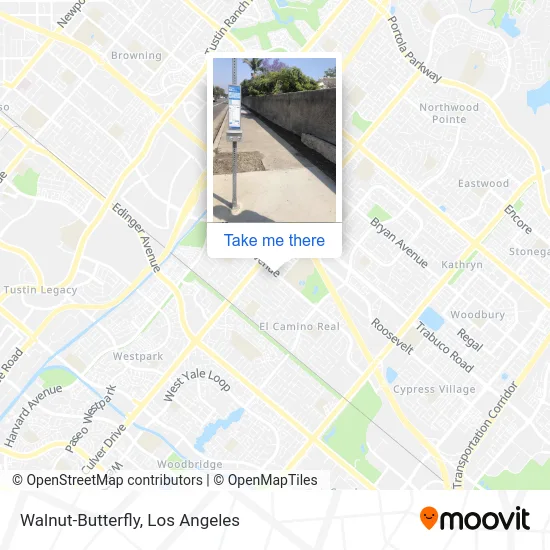 Walnut-Butterfly map