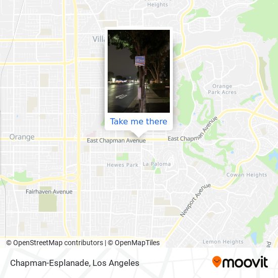 Chapman-Esplanade map