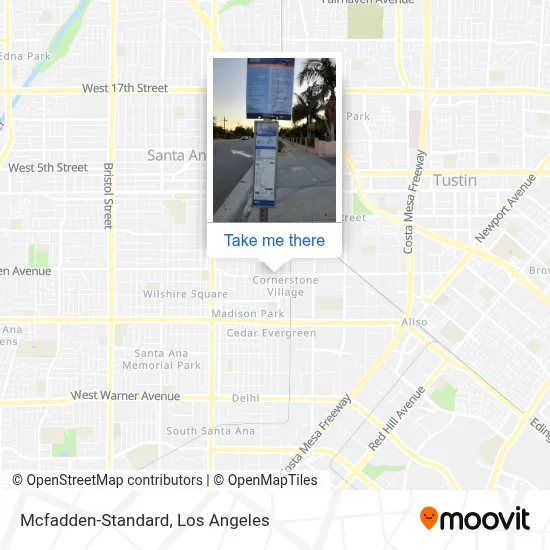 Mcfadden-Standard map