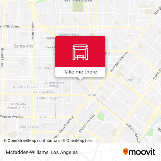Mcfadden-Williams map