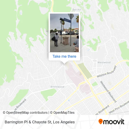 Barrington Pl & Chayote St map