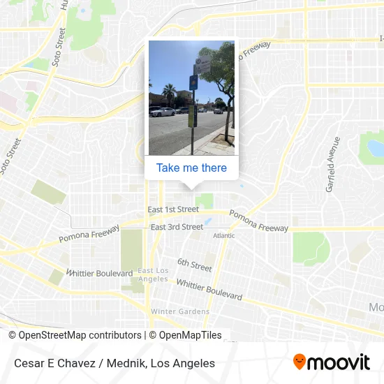 Mapa de Cesar E Chavez / Mednik