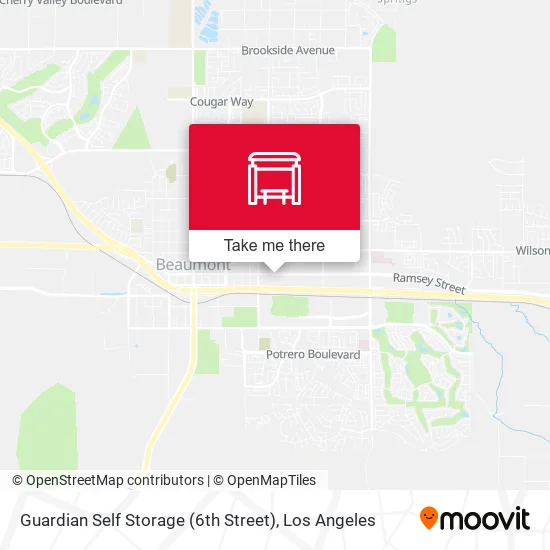 Guardian Self Storage (6th Street) map