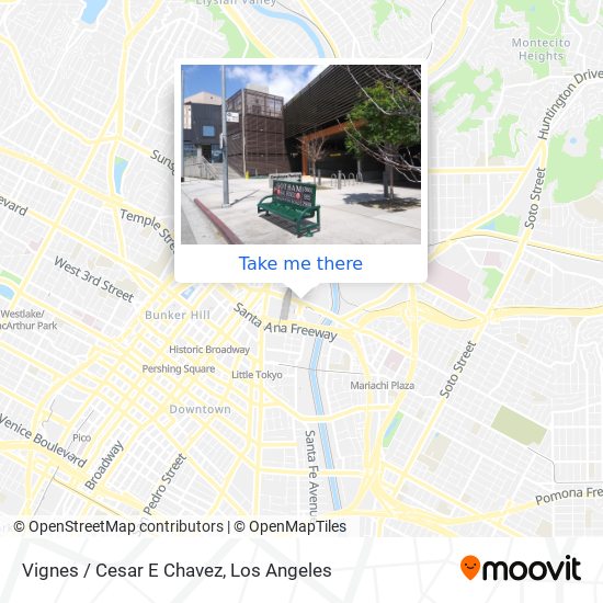 Vignes / Cesar E Chavez map