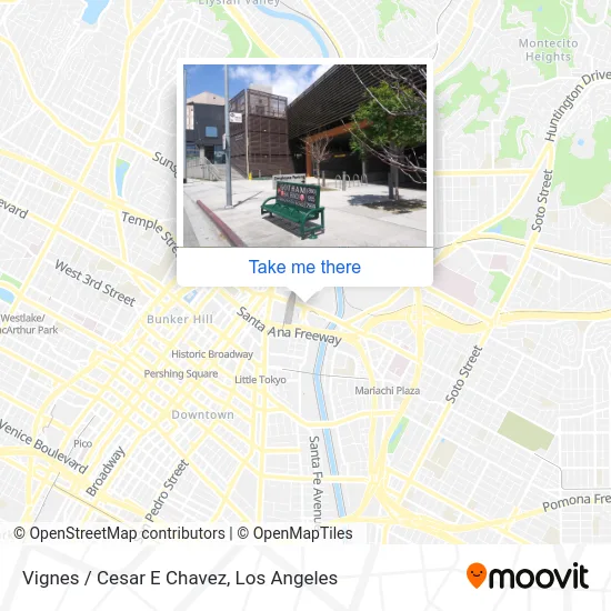 Vignes / Cesar E Chavez map