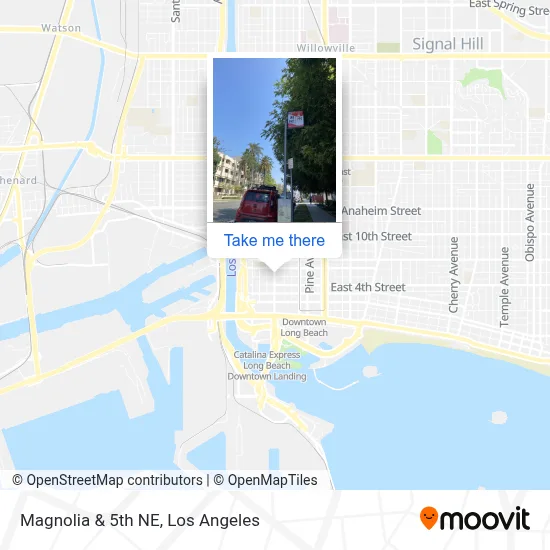 Magnolia & 5th NE map