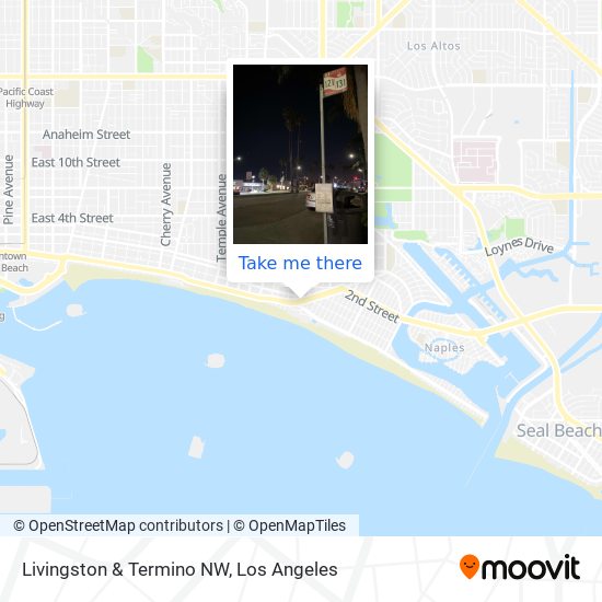Mapa de Livingston & Termino NW