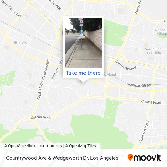 Countrywood Ave & Wedgeworth Dr map