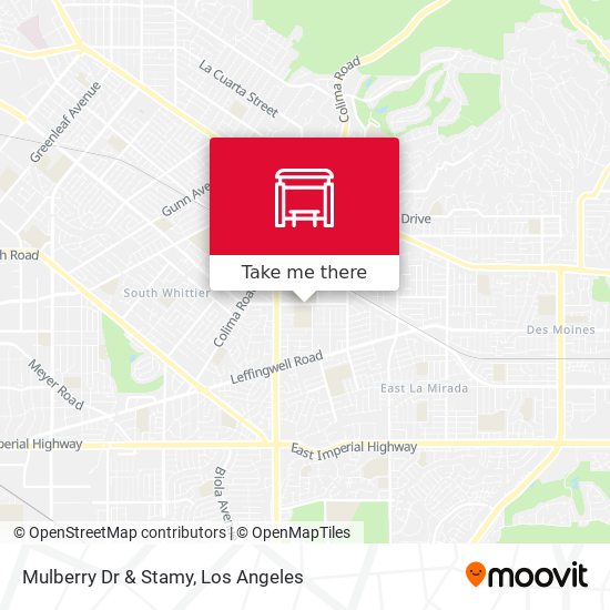 Mulberry Dr & Stamy map