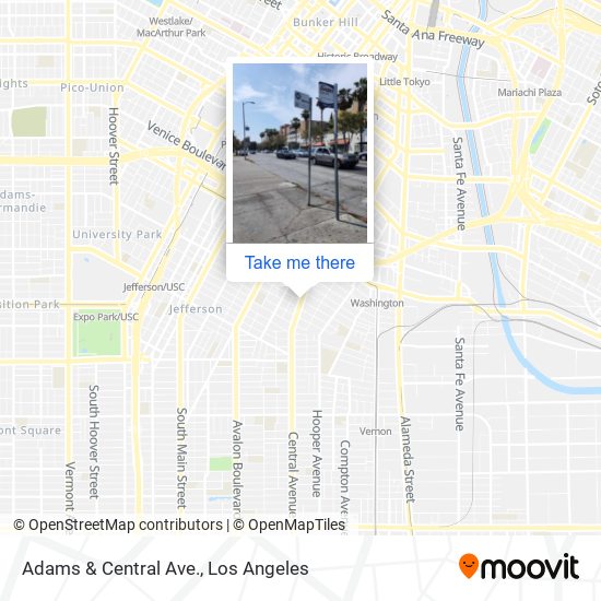 Adams & Central Ave. map
