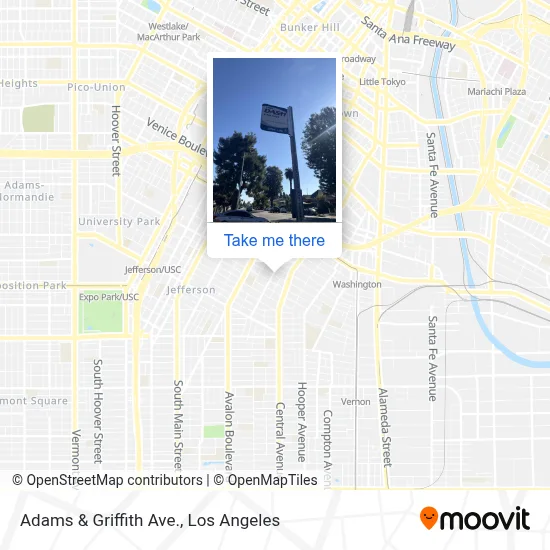 Adams & Griffith Ave. map