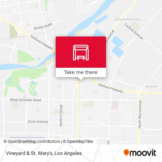 Vineyard & St. Mary's map