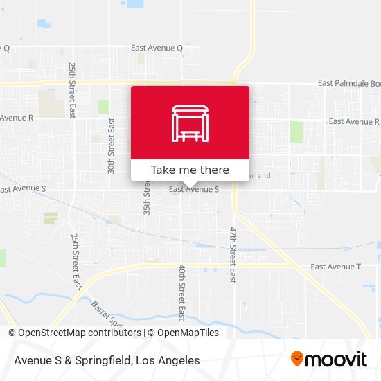 Avenue S & Springfield map
