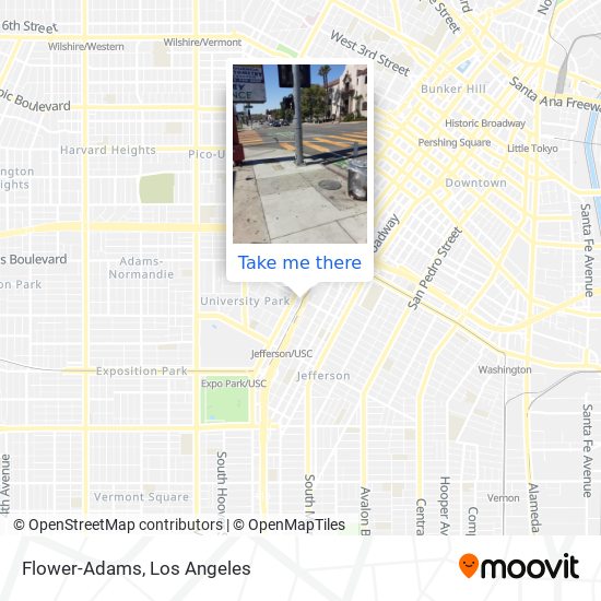 Mapa de Flower-Adams