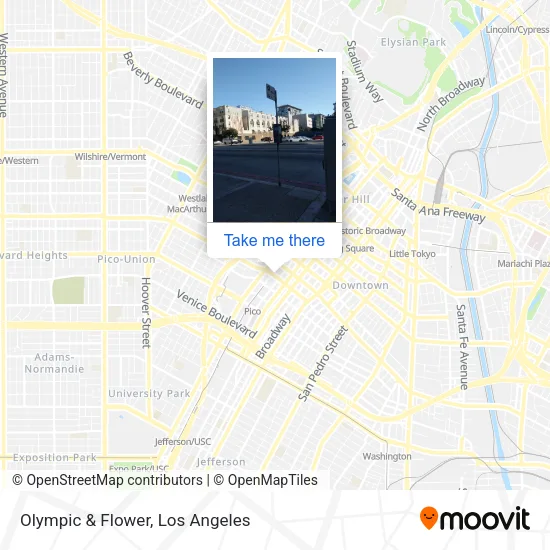 Olympic & Flower map