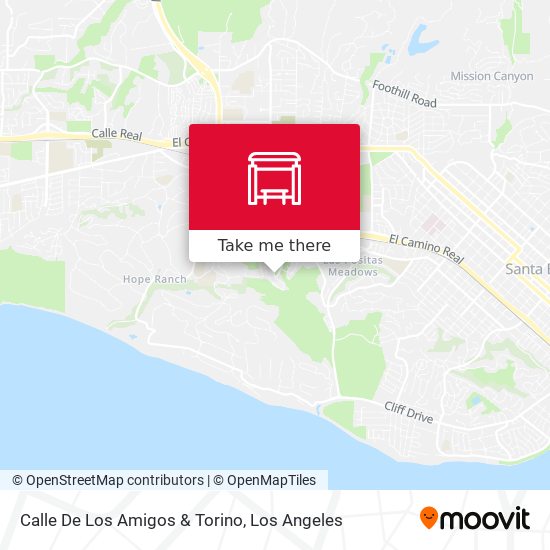Calle De Los Amigos & Torino map