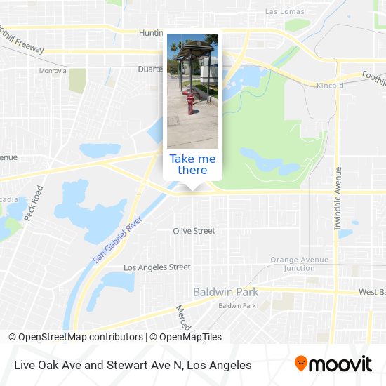Live Oak Ave and Stewart Ave N map