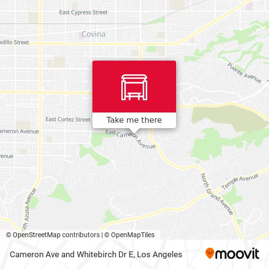 Cameron Ave and Whitebirch Dr E map