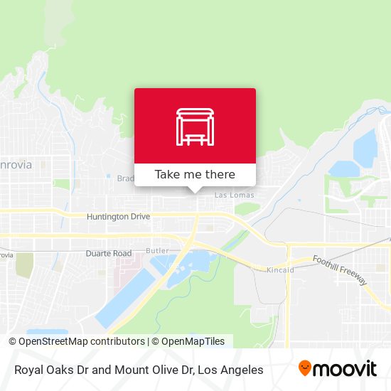 Royal Oaks Dr and Mount Olive Dr map