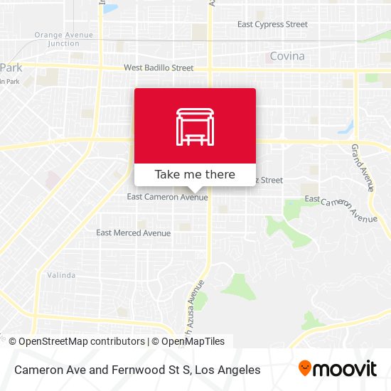 Cameron Ave and Fernwood St S map