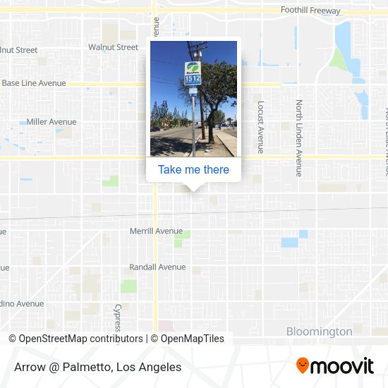 Mapa de Arrow @ Palmetto