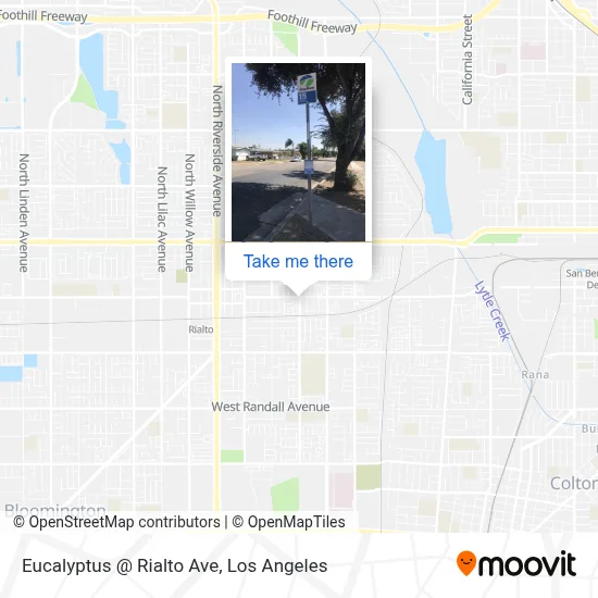 Eucalyptus @ Rialto Ave map