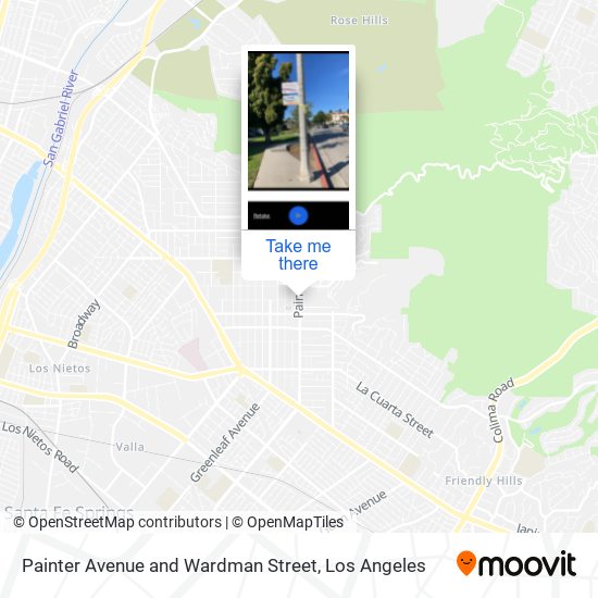 Painter Avenue and Wardman Street map