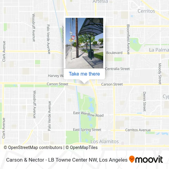 Carson & Nector - LB Towne Center NW map