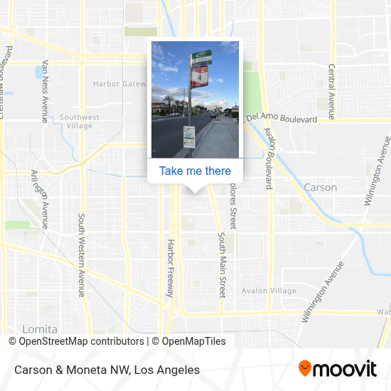 Carson & Moneta NW map